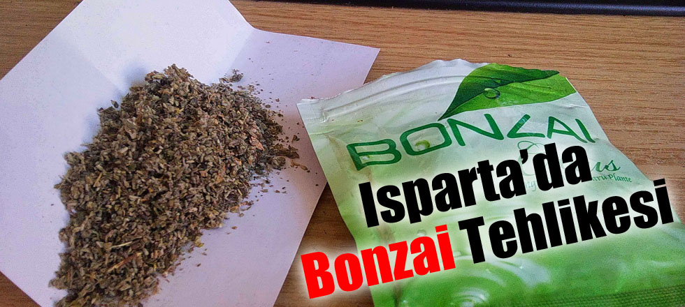 Isparta’da Bonzai Tehlikesi