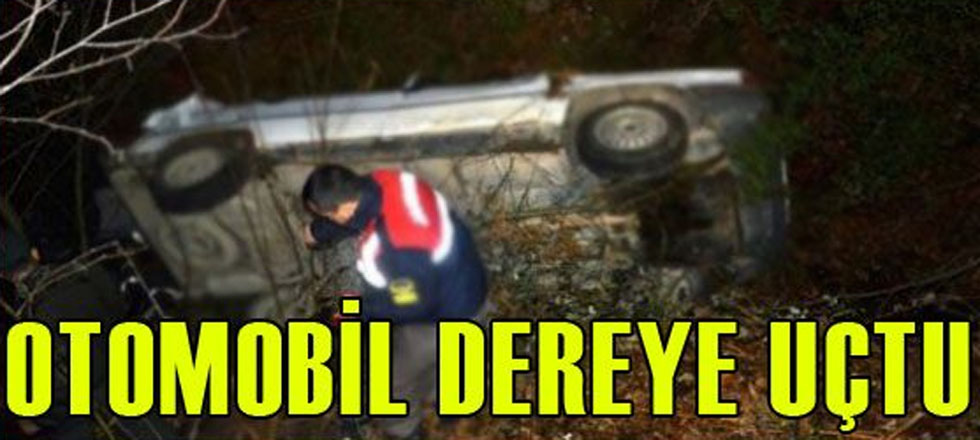 Otomobil Dereye Uçtu!