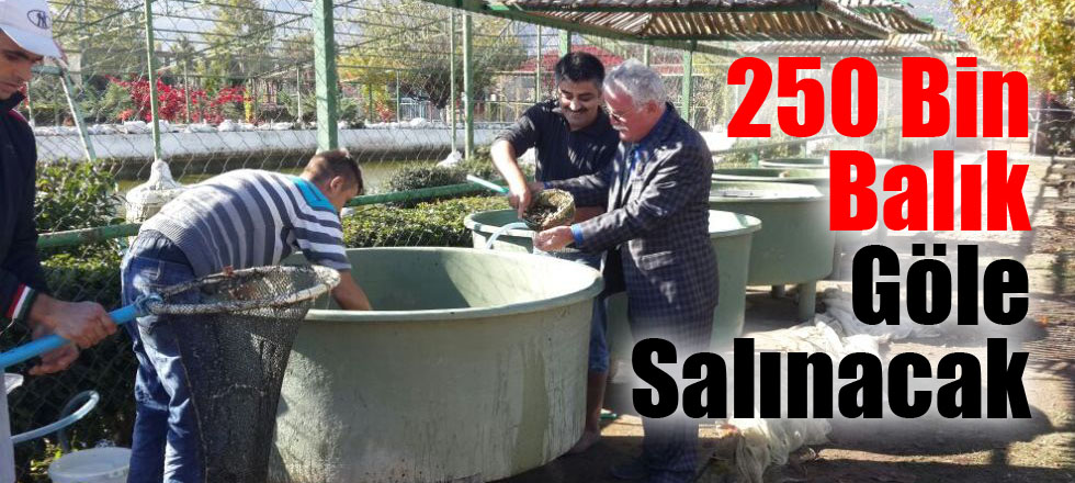 250 Bin Balık Göle Salınacak