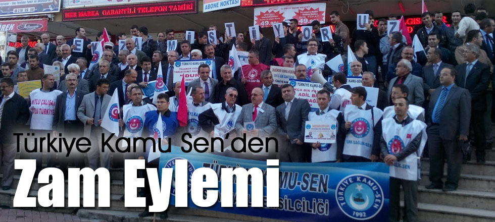 Türkiye Kamu Sen'den Zam Eylemi