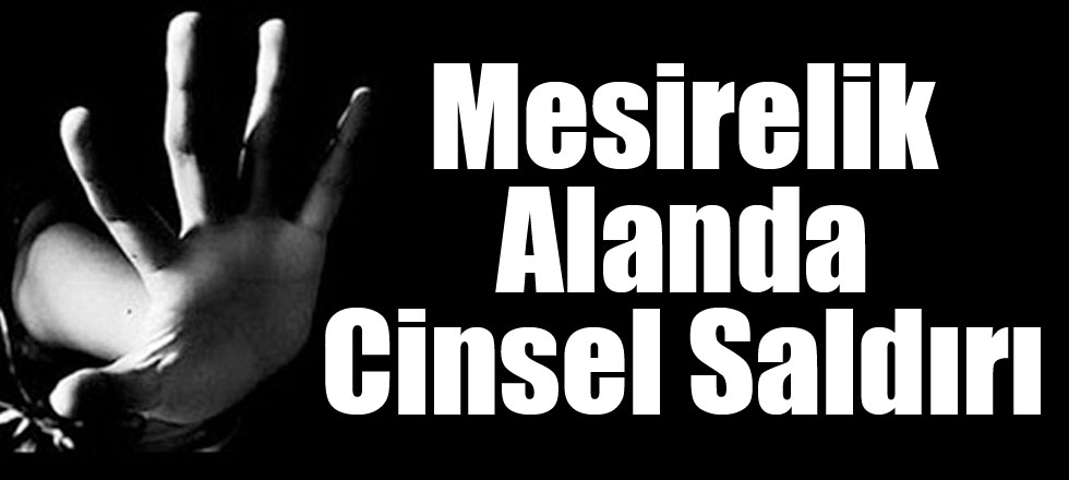 Mesirelik Alanda Cinsel Saldırı