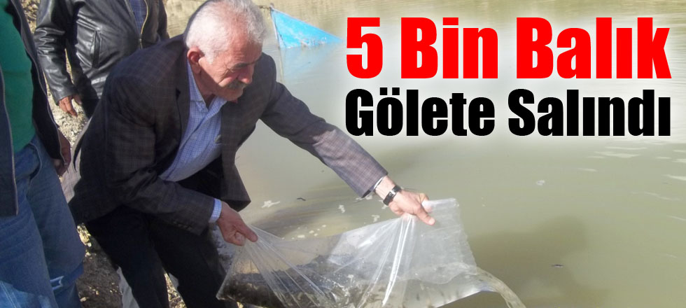 5 Bin Balık Gölete Salındı