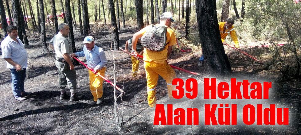 39 Hektar Alan Kül Oldu