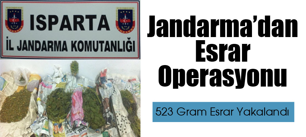 Jandarma’dan Esrar Operasyonu