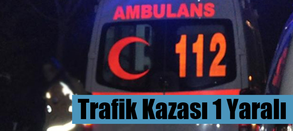 Trafik Kazası 1 Yaralı