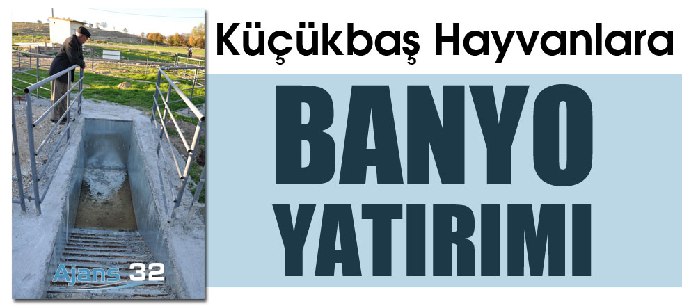 Küçükbaş Hayvanlara Banyo Yatırımı