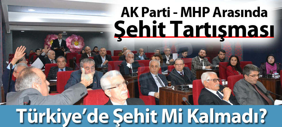 Türkiye'de Şehit Mi Kalmadı?