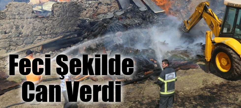 Feci Şekilde Can Verdi