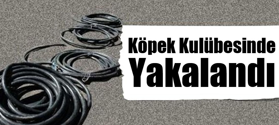 Köpek Kulübesinde Yakalandı