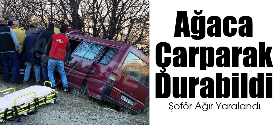 Ağaca Çarparak Durabildi