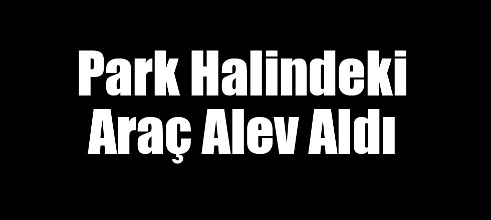 Park Halindeki Araç Alev Aldı