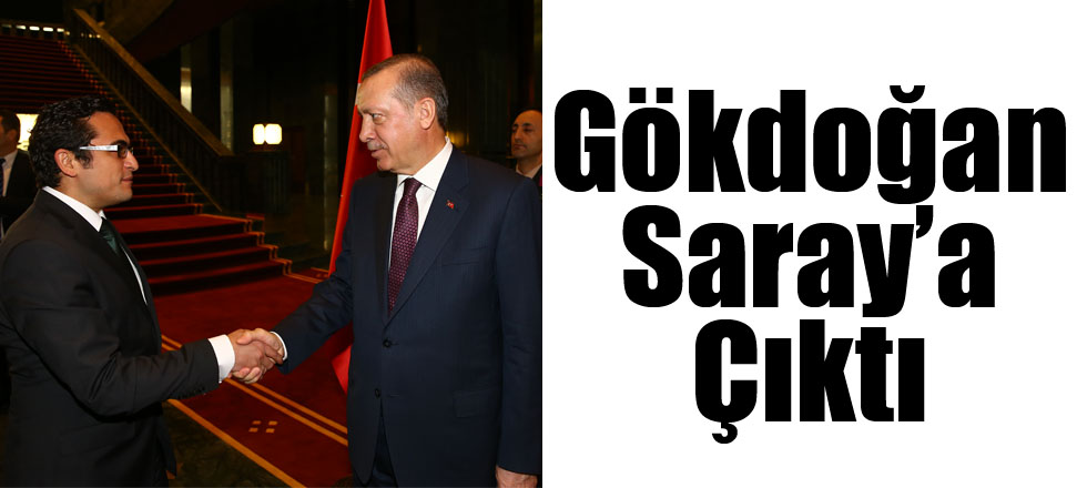 Gökdoğan Saray’a Çıktı