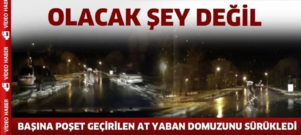 Olacak Şey Değil!