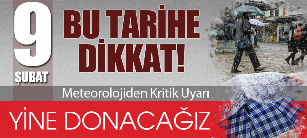 Yine Donacağız