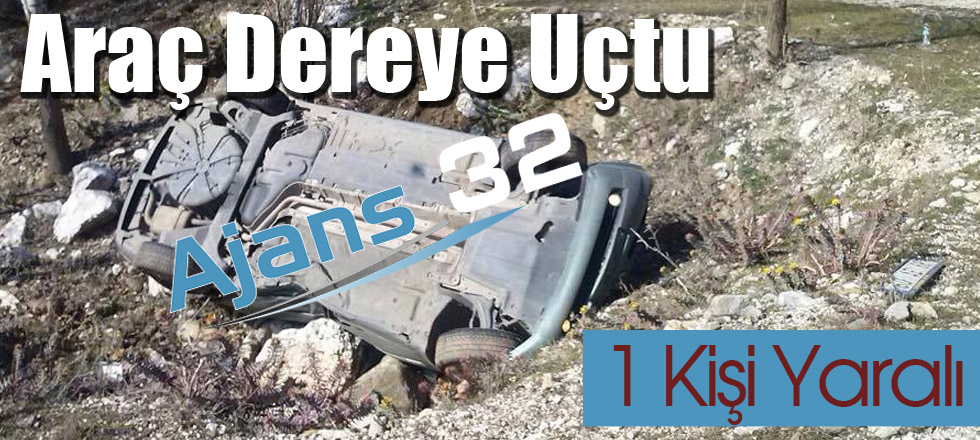 Araç Dereye Uçtu