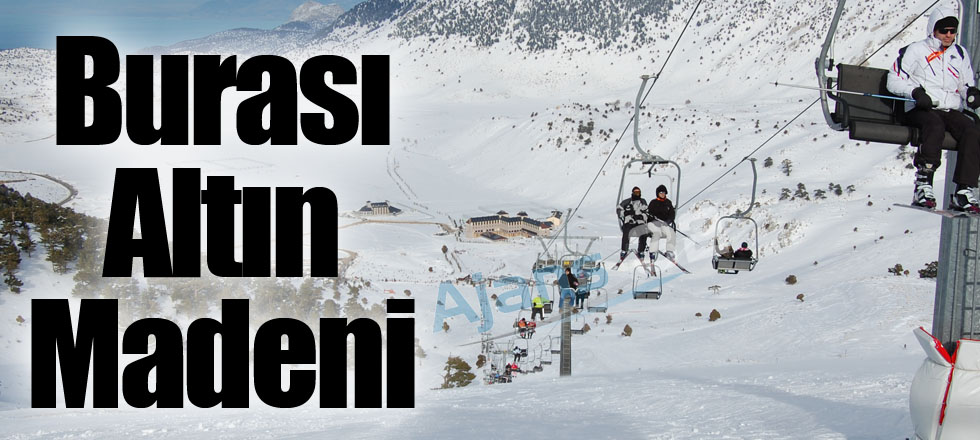 Burası Bir Altın Madeni