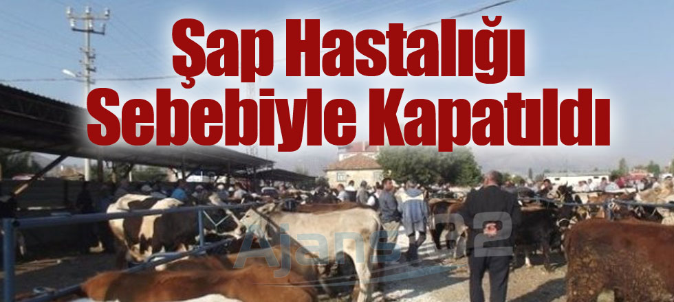 Şap Hastalığı Sebebiyle Kapatıldı