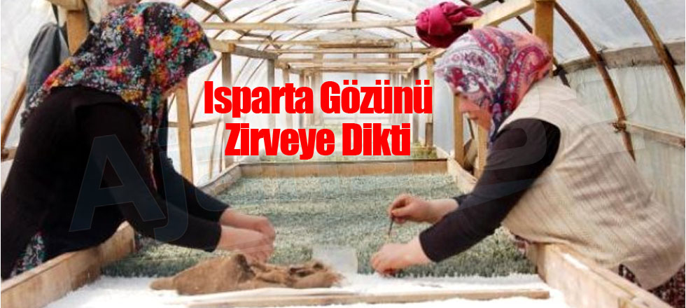 Isparta Gözünü Zirveye Dikti