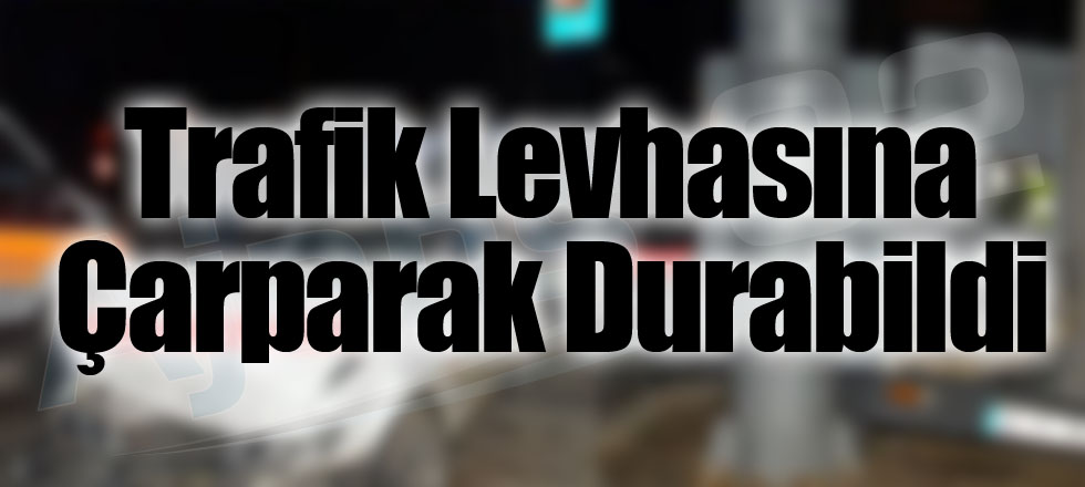 Trafik Levhasına Çarparak Durabildi