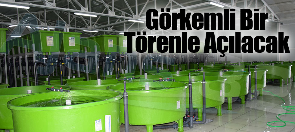 Görkemli Bir Törenle Açılacak