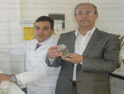 Dikensiz Gül Üretme Çalışmaları Devam Ediyor