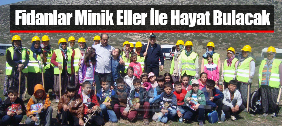Fidanlar Minik Eller İle Hayat Bulacak