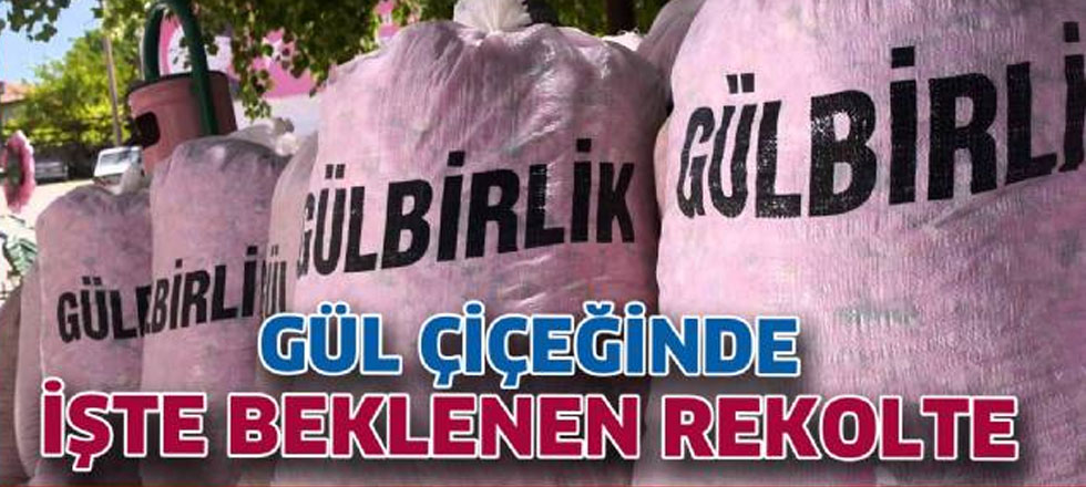 7 Bin Ton Rekolte Bekleniyor