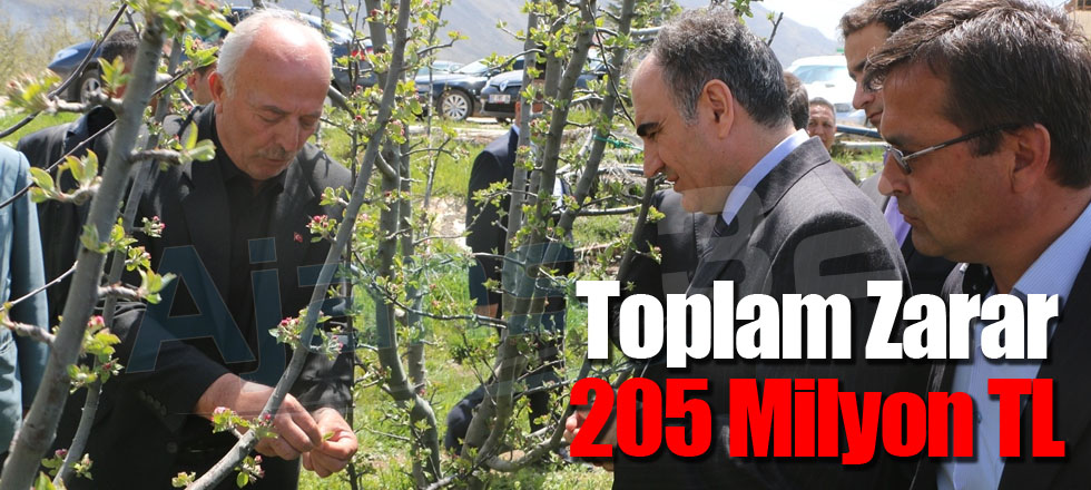 Toplam Zarar 205 Milyon TL