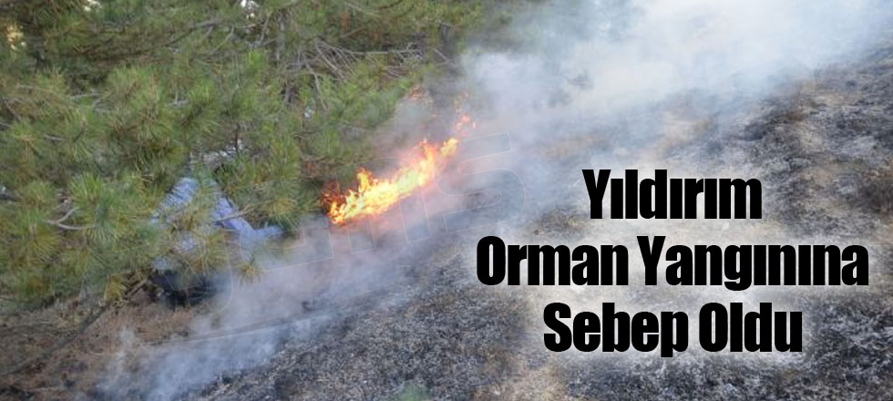 Yıldırım Düşmesi Orman Yangınına Sebep Oldu