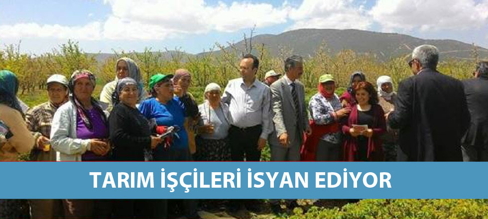 Tarım İşçileri İsyan Ediyor