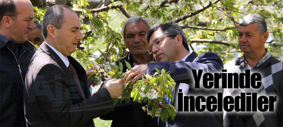 Bakanlık Afeti Yerinde İnceledi