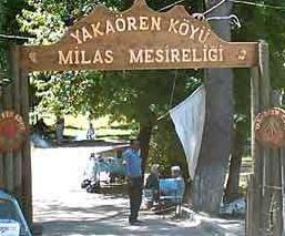 Milas Ekopark Projesi Hazırlandı