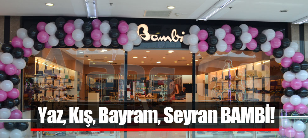 Yaz, Kış, Bayram, Seyran BAMBİ!