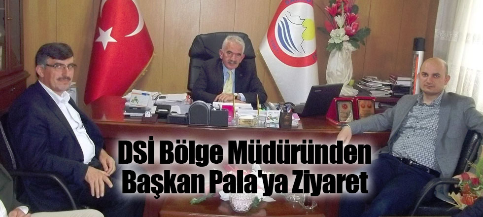 DSİ Bölge Müdüründen Başkan Pala'ya Ziyaret