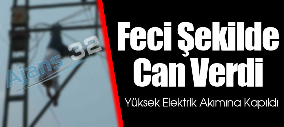 Feci Şekilde Can Verdi