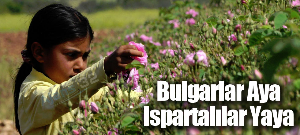 Bulgarlar Aya Ispartalılar Yaya