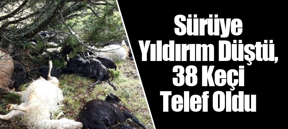 Sürüye Yıldırım Düştü, 38 Keçi Telef Oldu