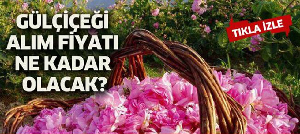 Gülçiçeği Alım Fiyatı Ne Kadar Olacak?