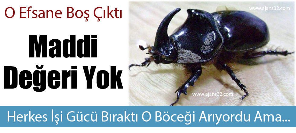 O Böceğin Maddi Değeri Yok!