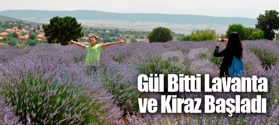 Gül Bitti Lavanta ve Kiraz Başladı