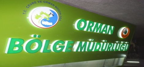 Orman Bölge Müdürlüğüne 37 İşçi Alınacak