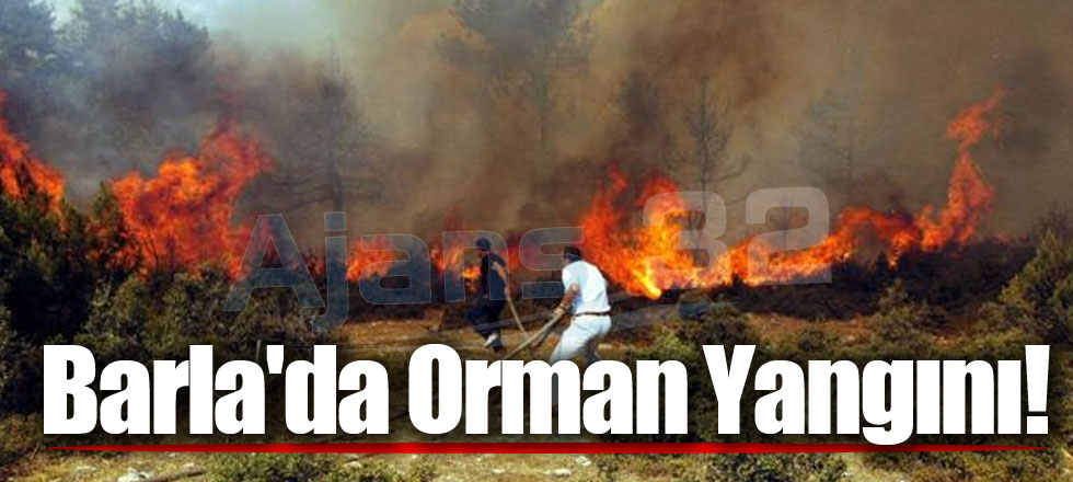 Barla'da Orman Yangını!