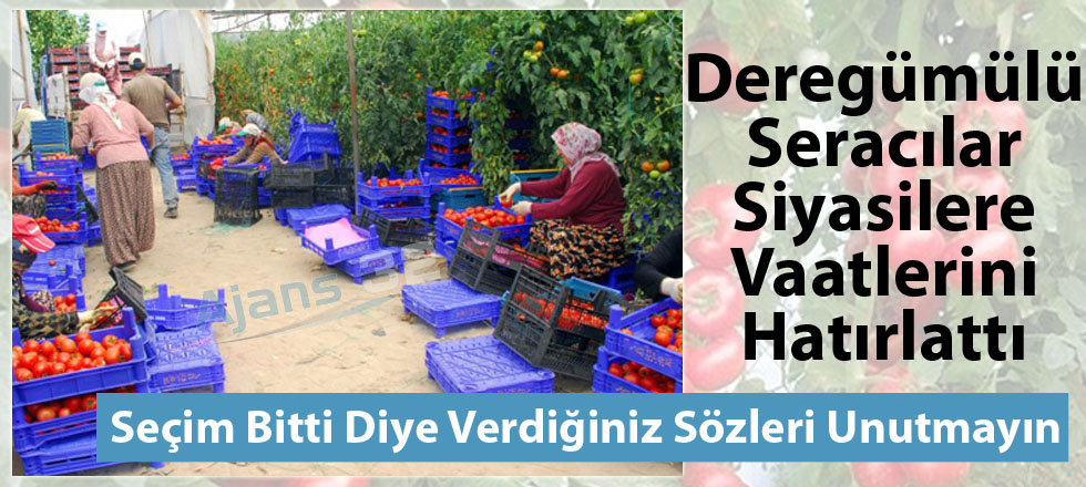 Domates Üreticileri Vattalerin Peşinde