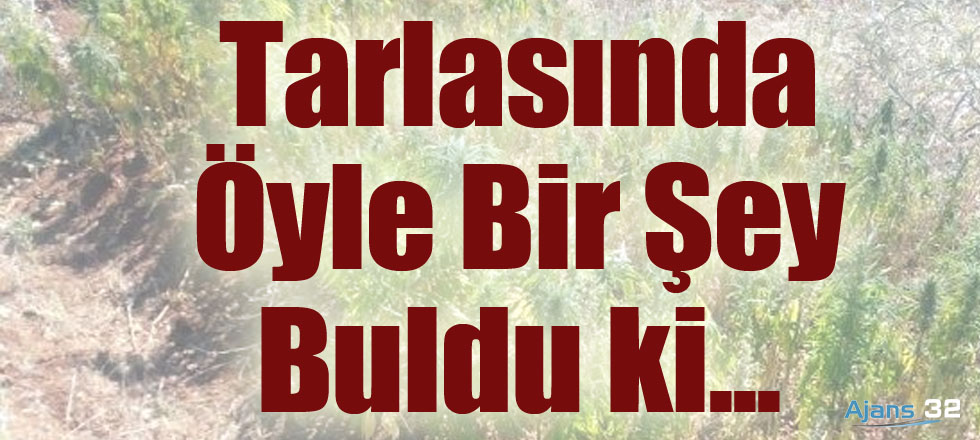 Tarlasında Öyle Bir Şey Buldu Ki...