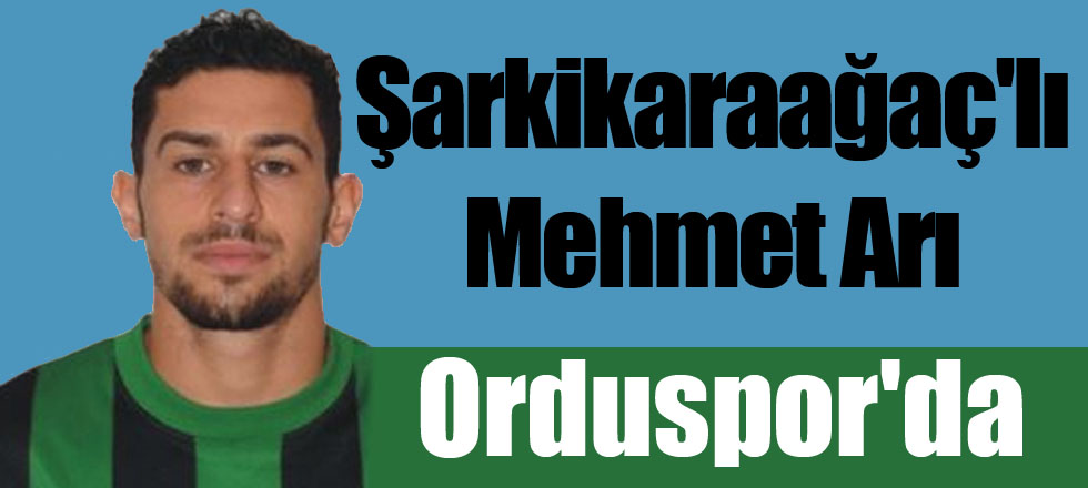 Şarkikaraağaç'lı Mehmet Arı Orduspor'da