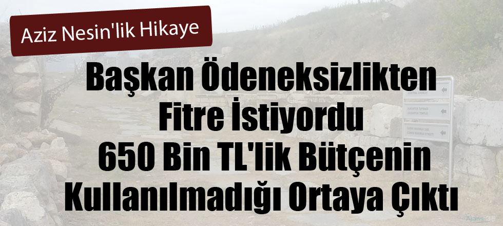 Tam Aziz Nesin'lik Hikaye