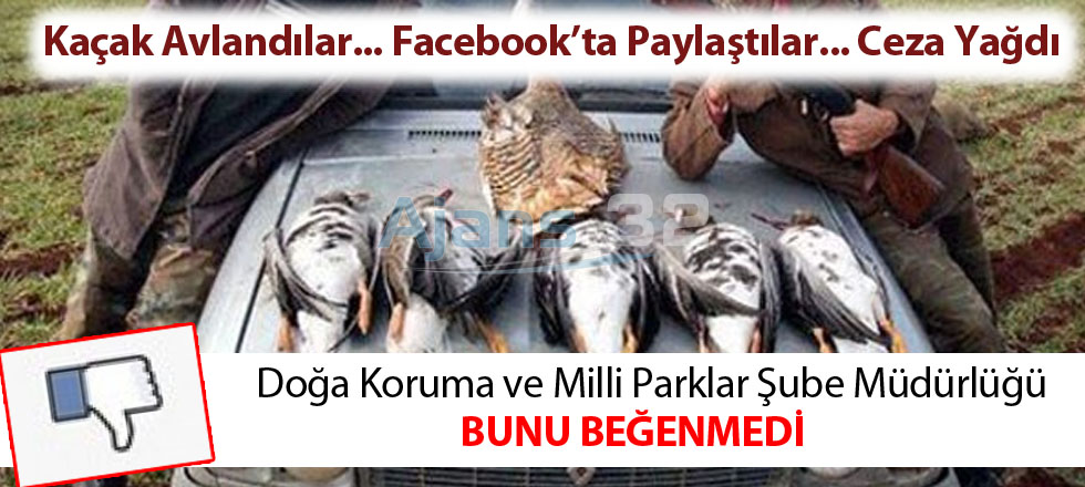 Ava Giderken Face'de Avlandılar