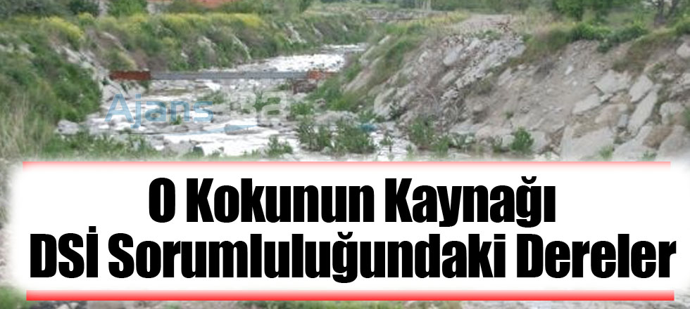 Kokunun Kaynağı DSİ Sorumluluğundaki Dereler