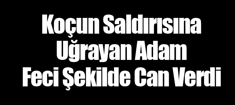 Koçun Saldırısına Uğrayan Adam Feci Şekilde Can Verdi