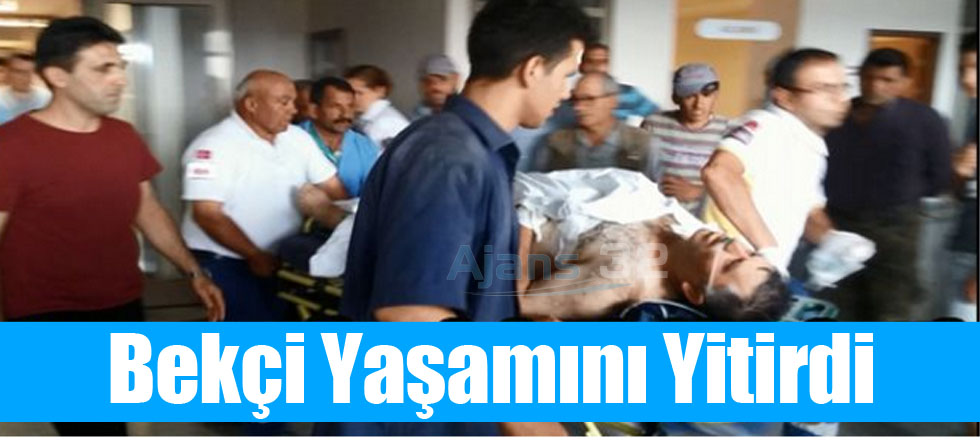 Bekçi Yaşamını Yitirdi